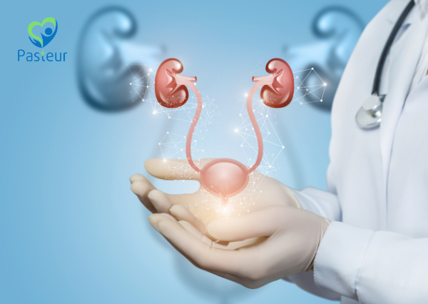 Tiết niệu - Nam khoa Ảnh minh họa