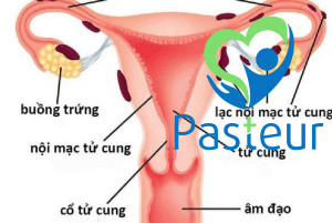 Nội Mạc Tử Cung