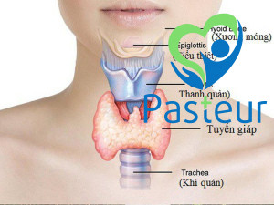 BỆNH LÝ TUYẾN GIÁP
