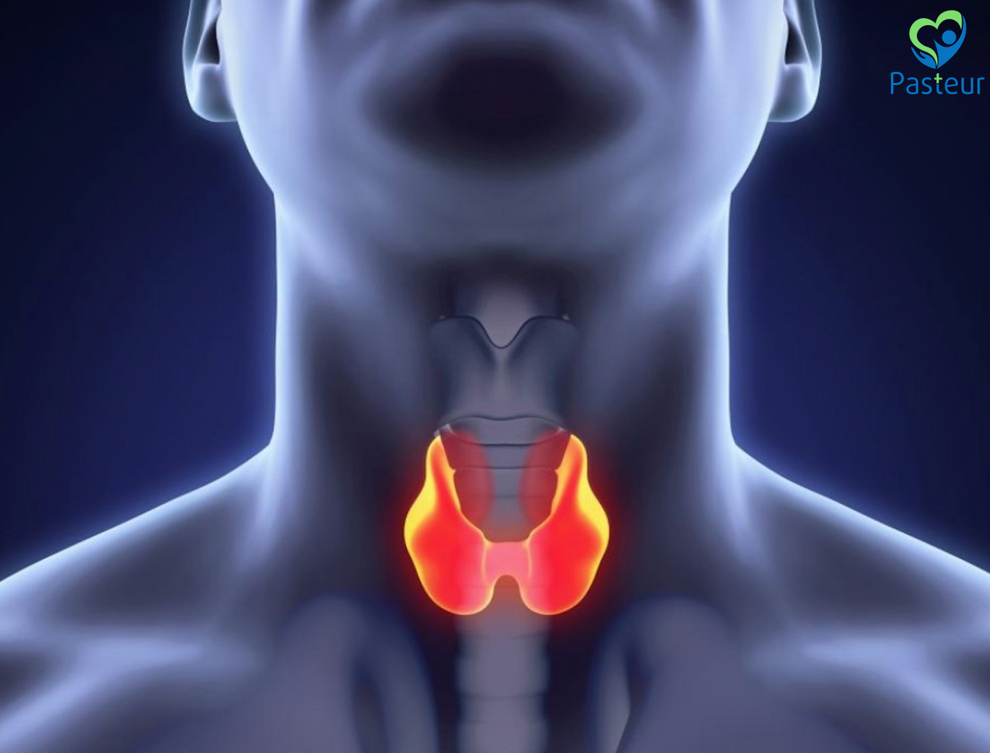 Bệnh Lý Tuyến Giáp