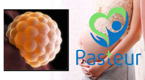 THAI TRỨNG LÀ GÌ