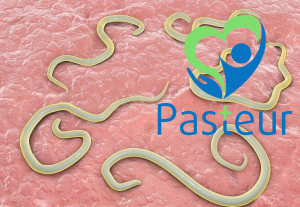 NGỨA HẬU MÔN Ở TRẺ NHỎ - 4 NGUYÊN NHÂN CHÍNH Ảnh minh họa