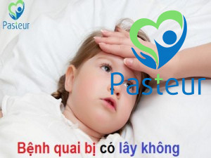 Bệnh quai bị là gì? Nguyên nhân, triệu chứng và điều trị Ảnh minh họa