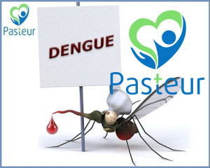 Tìm Hiểu Về Bệnh Sốt Dengue - Sốt Xuất Huyết Ảnh minh họa