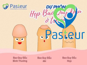 Hẹp bao quy đầu ở trẻ em - Triệu chứng và cách điều trị Ảnh minh họa