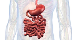 c và tình trạng xuất huyết tiêu hóa Ảnh minh họa