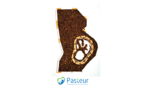 Hút thuốc lá thụ động và 6 mối nguy hại Ảnh minh họa