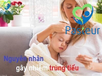 Nhiễm trùng đường tiểu ở trẻ em - Triệu chứng và cách điều trị 2 Nguyên nhân gây ra nhiễm trùng đường tiểu ở trẻ
