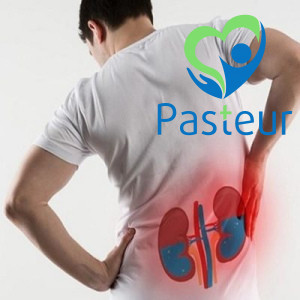 Nguyên nhân, triệu chứng và chẩn đoán thận ứ nước Ảnh minh họa