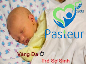 Vàng da ở trẻ sơ sinh - Triệu chứng, nguyên nhân và điều trị Ảnh minh họa