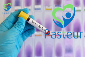 Xét nghiệm thử thai là gì? Các phương pháp xét nghiệm thử thai Ảnh minh họa