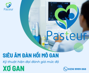 SIÊU ÂM ĐÀN HỒI MÔ GAN - KỸ THUẬT ĐÁNH GIÁ MỨC ĐỘ XƠ GAN Ảnh minh họa