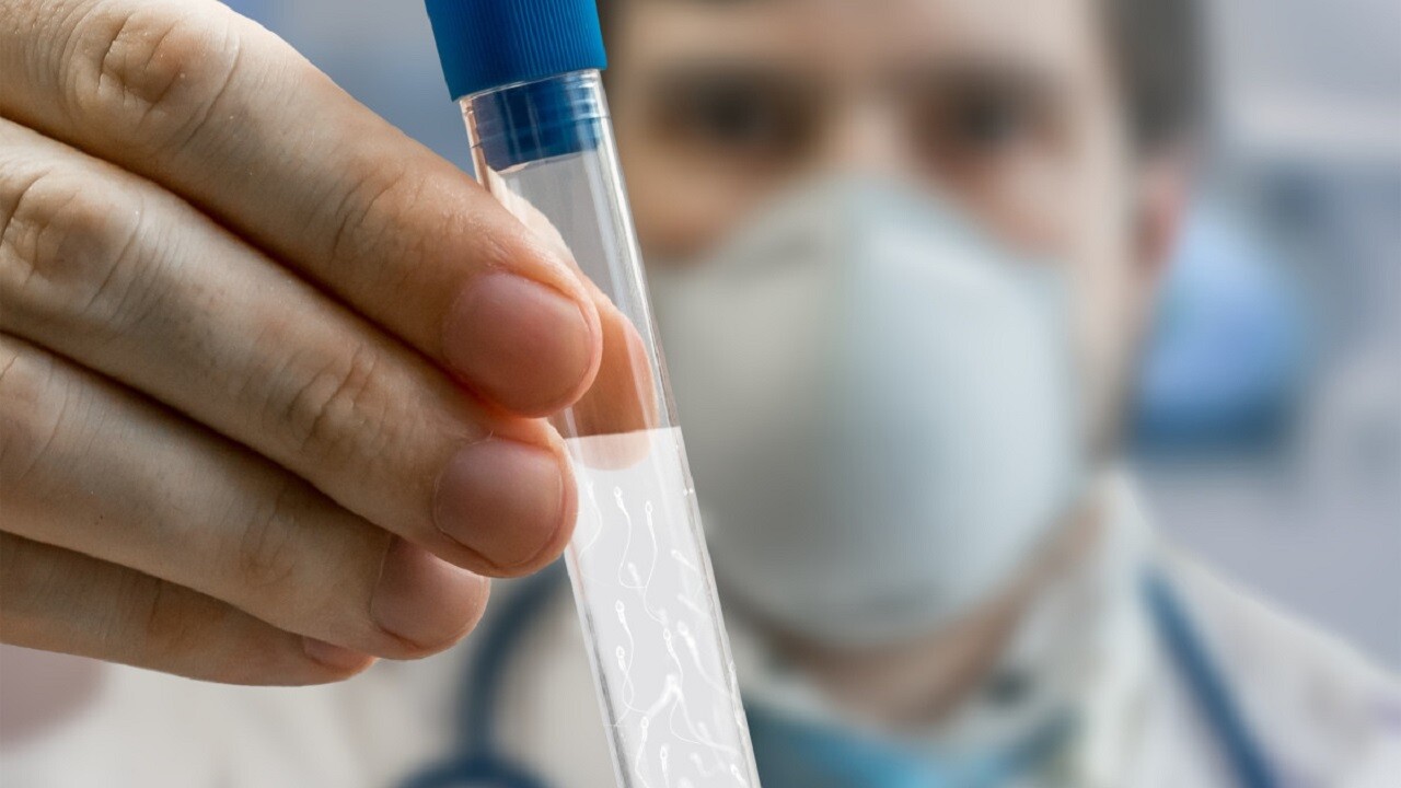 Phương pháp bơm tinh trùng vào buồng tử cung IUI Ảnh minh họa