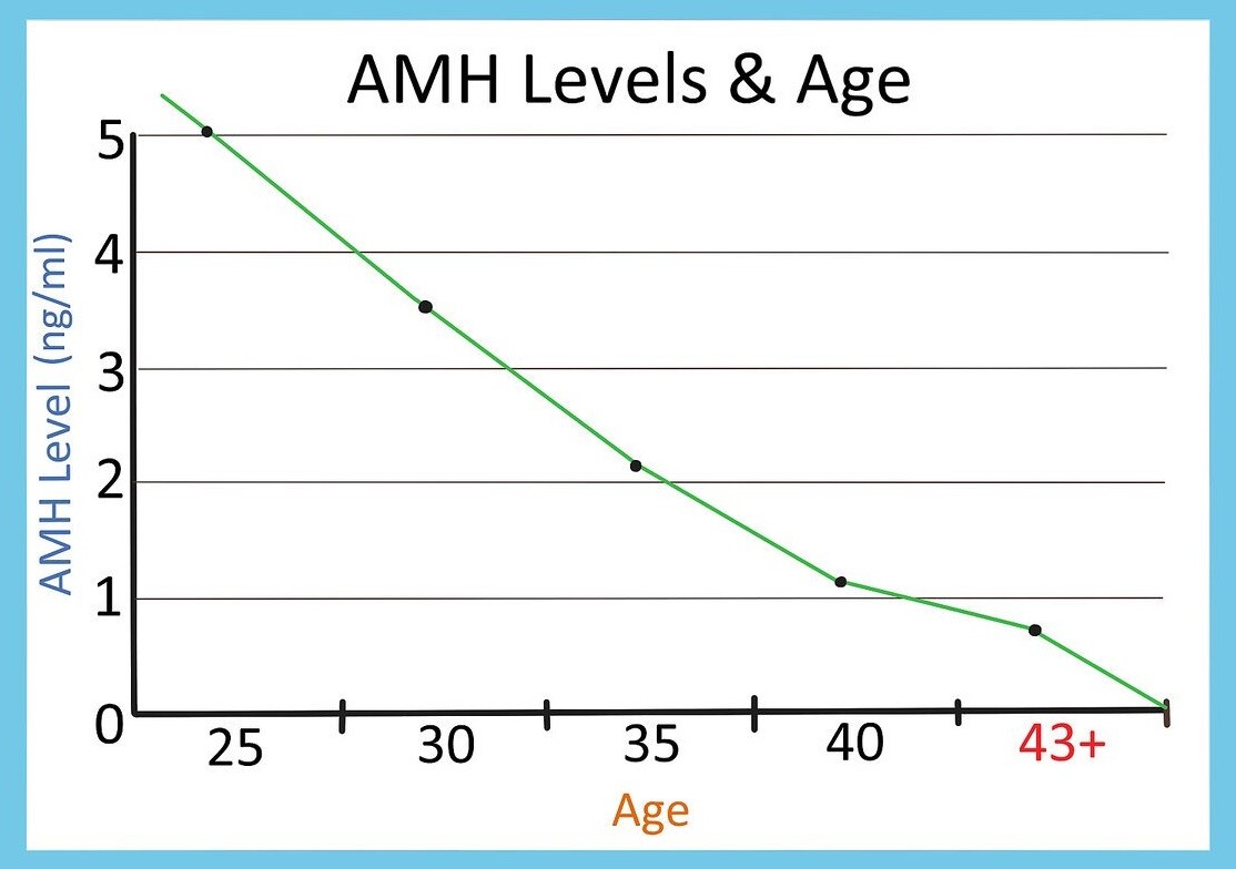 Ở nữ giới chỉ số AMH dự trữ buồng trứng thấp có gây vô sinh 1 Ở nữ giới chỉ số AMH dự trữ buồng trứng thấp có gây vô sinh Ảnh minh họa