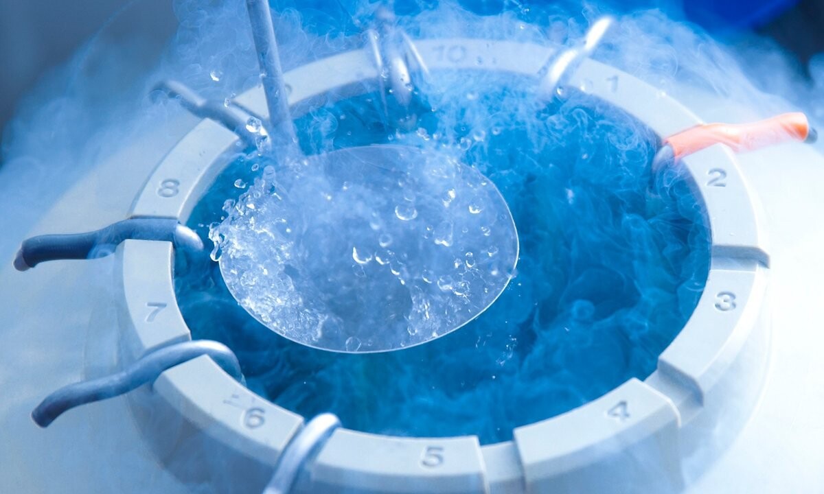 Ngân hàng trứng – giải pháp cho phụ nữ vô sinh hiếm muộn Ảnh minh họa