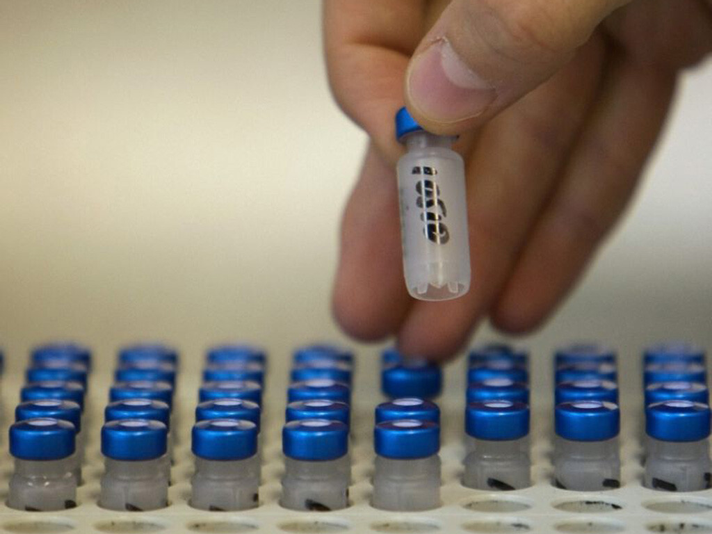 Thụ thai nhờ ngân hàng tinh trùng – Những điều mà bạn cần biết Ảnh minh họa