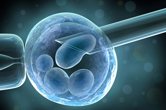Đối tượng áp dụng và quy trình thực hiện thụ tinh nhân tạo IVF Ảnh minh họa