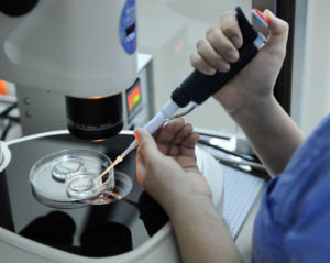 Kỹ thuật tiêm tinh trùng vào bào tương noãn – ICSI là gì? Ảnh minh họa