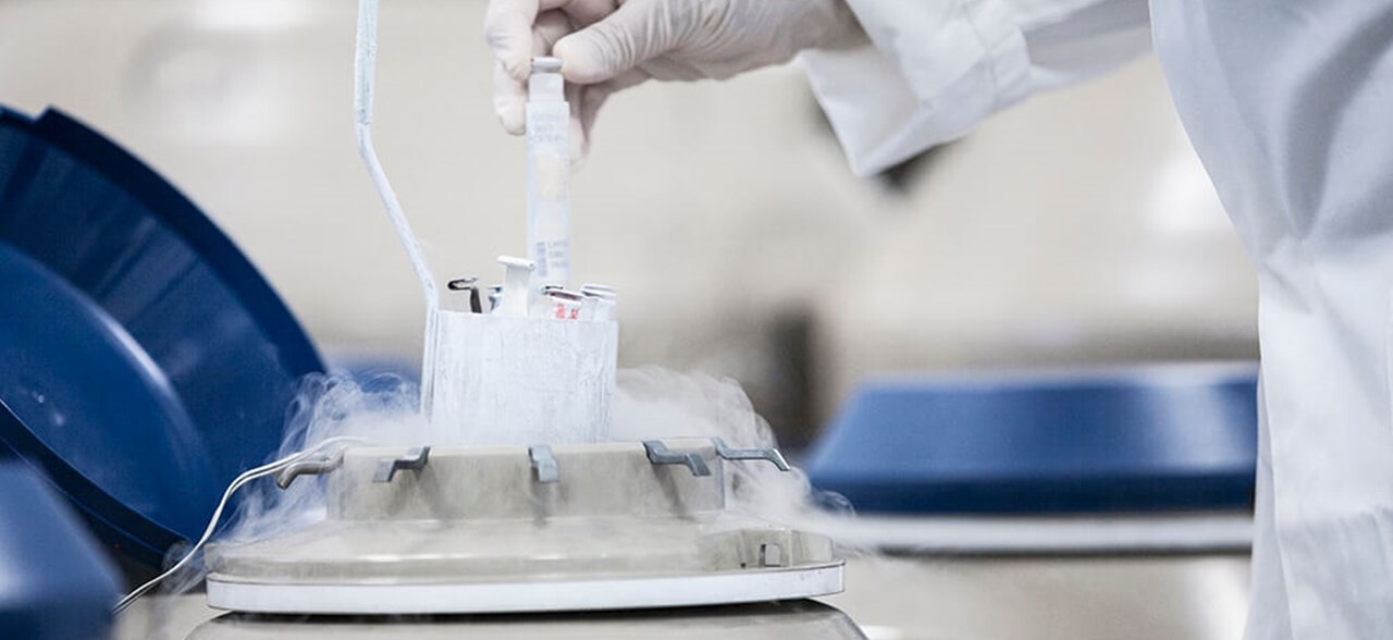 Trữ đông noãn – Phương pháp hiện đại trong điều trị hiếm muộn Ảnh minh họa