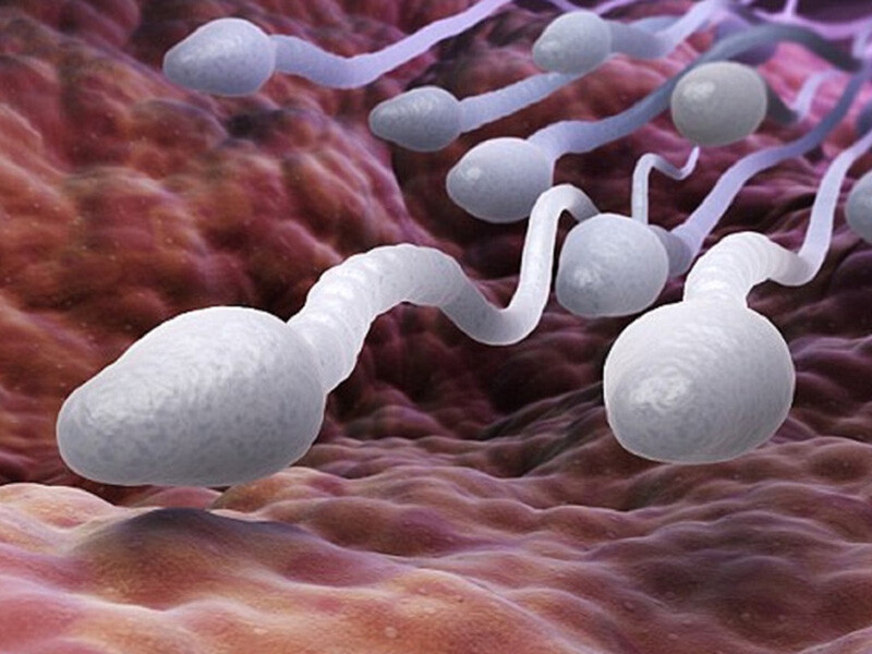 Giải đáp thắc mắc “Vô sinh có quan hệ được không?” Ảnh minh họa