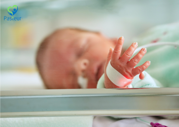 Siêu Âm Tim Thai: 4 Điều Mẹ Bầu Cần Biết Trong Thai Kỳ 2 Siêu Âm Tim Thai: 4 Điều Mẹ Bầu Cần Biết Trong Thai Kỳ Ảnh minh họa