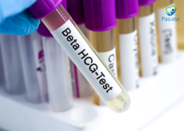 Siêu Âm Có Túi Thai Nhưng Chưa Thấy Phôi Thai: Nguyên Nhân Do Đâu Ảnh minh họa