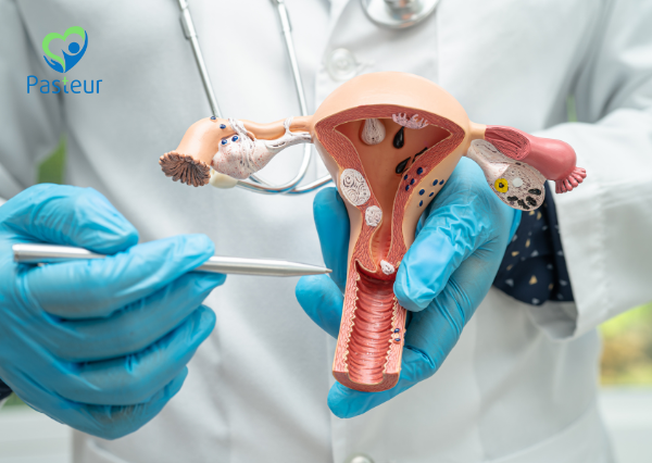 Nguy Cơ Mắc Bệnh Phụ Khoa Ở Giai Đoạn Mãn Kinh Ảnh minh họa