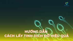 Cách lấy mẫu tinh dịch đồ chính xác và hiệu quả 13 Cách lấy mẫu tinh dịch đồ chính xác và hiệu quả Ảnh minh họa