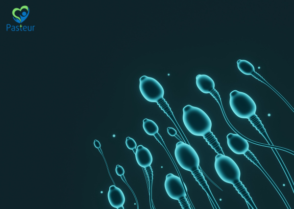 Cách lấy tinh dịch đồ hiệu quả và chính xác