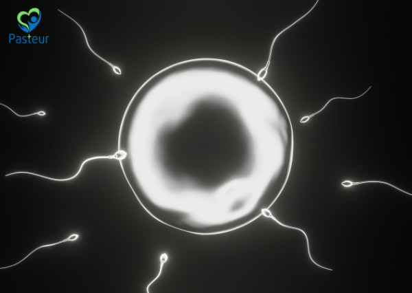 Xét nghiệm tinh dịch đồ cần kiêng quan hệ bao lâu? Ảnh minh họa