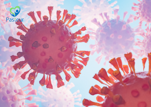 HMPV Triệu chứng chẩn đoán và phòng ngừa 1 HMPV