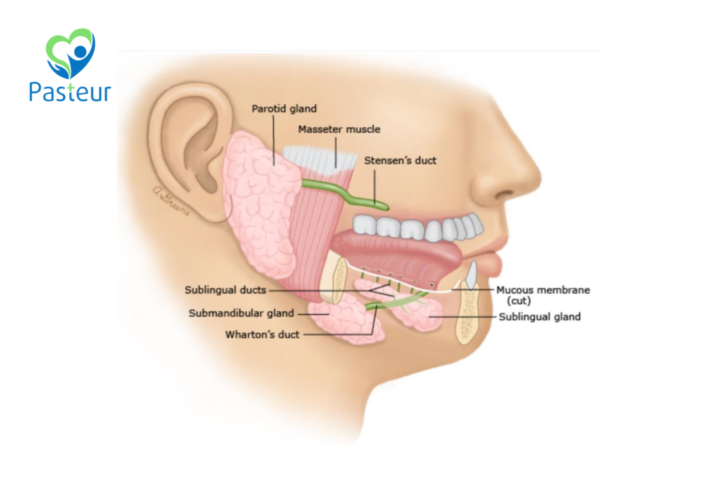 viêm tuyến nước bọt