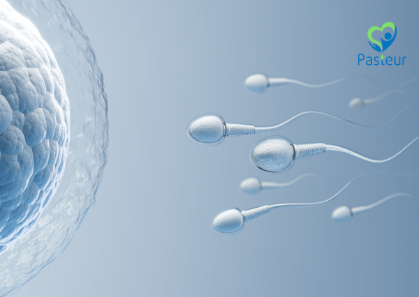 Tinh Trùng Loãng Là Gì? Nguyên Nhân, Dấu Hiệu Và Cách Cải Thiện 1 Tinh Trùng Loãng Là Gì? Nguyên Nhân, Dấu Hiệu Và Cách Cải Thiện Ảnh minh họa