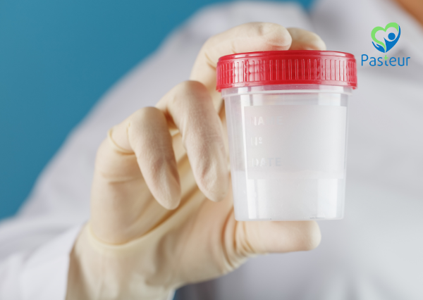 Tinh Trùng Loãng Là Gì? Nguyên Nhân, Dấu Hiệu Và Cách Cải Thiện 2 tinh trùng loãng nguyên nhân và dấu hiệu