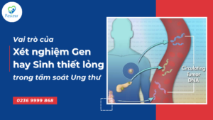 VAI TRÒ XÉT NGHIỆM GEN HAY SINH THIẾT LỎNG TRONG TẦM SOÁT UNG THƯ 12 VAI TRÒ XÉT NGHIỆM GEN HAY SINH THIẾT LỎNG TRONG TẦM SOÁT UNG THƯ Ảnh minh họa