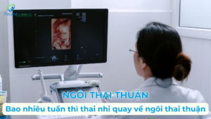 NGÔI THAI THUẬN LÀ GÌ? BAO NHIÊU TUẦN THÌ THAI NHI QUAY VỀ NGÔI THAI THUẬN? 13 NGÔI THAI THUẬN LÀ GÌ? BAO NHIÊU TUẦN THÌ THAI NHI QUAY VỀ NGÔI THAI THUẬN? Ảnh minh họa