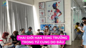 THAI GIỚI HẠN TĂNG TRƯỞNG TRONG TỬ CUNG VÌ SAO? 11 THAI GIỚI HẠN TĂNG TRƯỞNG TRONG TỬ CUNG VÌ SAO? Ảnh minh họa