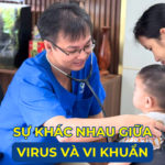 SỰ KHÁC NHAU GIỮA VIRUS VÀ VI KHUẨN Ảnh minh họa