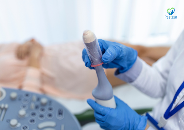 SIÊU ÂM THAI: KHI NÀO SIÊU ÂM BỤNG VÀ SIÊU ÂM ĐẦU DÒ Ảnh minh họa