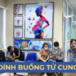 DÍNH BUỒNG TỬ CUNG CÓ ẢNH HƯỞNG ĐẾN KHẢ NĂNG SINH SẢN KHÔNG Ảnh minh họa