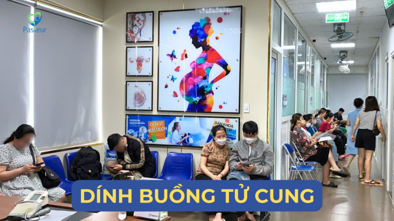 DÍNH BUỒNG TỬ CUNG CÓ ẢNH HƯỞNG ĐẾN KHẢ NĂNG SINH SẢN KHÔNG Ảnh minh họa