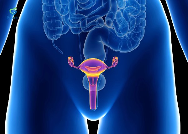 DỰ TRỮ BUỒNG TRỨNG KHI NÀO NÊN KIỂM TRA 1 DỰ TRỮ BUỒNG TRỨNG KHI NÀO NÊN KIỂM TRA Ảnh minh họa