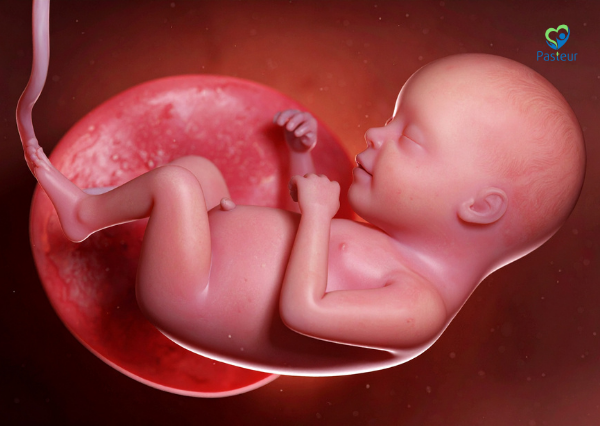 DÂY RỐN BÁM MÉP LÀ GÌ 1 DÂY RỐN BÁM MÉP LÀ GÌ Ảnh minh họa