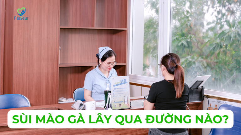 SÙI MÀO GÀ VÀ 04 ĐƯỜNG LÂY NHIỄM CHÍNH Ảnh minh họa