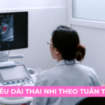 CHIỀU DÀI THAI NHI THEO TUẦN TUỔI Ảnh minh họa