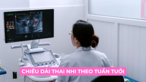 CHIỀU DÀI THAI NHI THEO TUẦN TUỔI Ảnh minh họa
