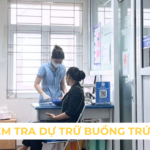 DỰ TRỮ BUỒNG TRỨNG KHI NÀO NÊN KIỂM TRA Ảnh minh họa