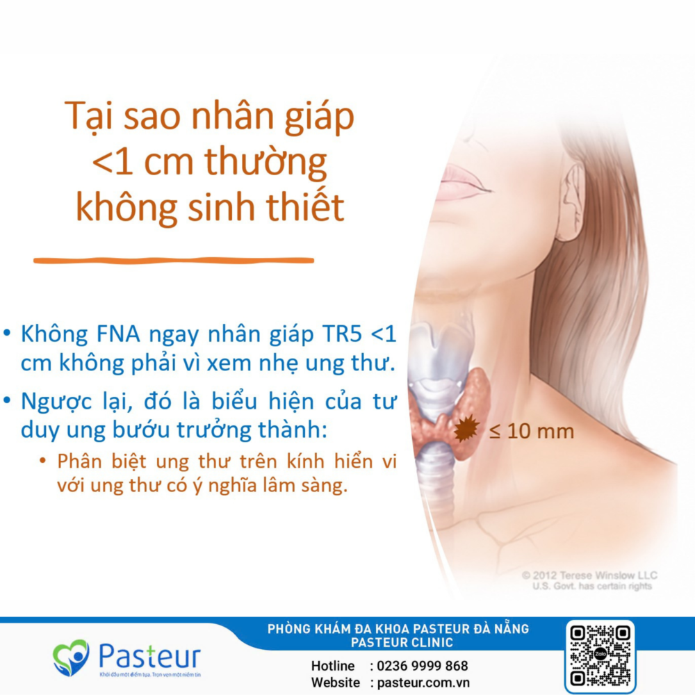 VÌ SAO NHÂN GIÁP DƯỚI 1 CM, KỂ CẢ TR5 / KIỂU HÌNH NGHI NGỜ CAO, THƯỜNG CHƯA CÓ CHỈ ĐỊNH FNA NGAY?