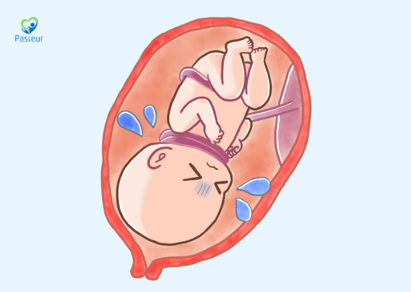 DÂY RỐN QUẤN CỔ CÓ NGUY HIỂM KHÔNG ? Ảnh minh họa