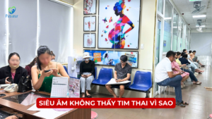 SIÊU ÂM KHÔNG THẤY TIM THAI VÌ SAO? Ảnh minh họa